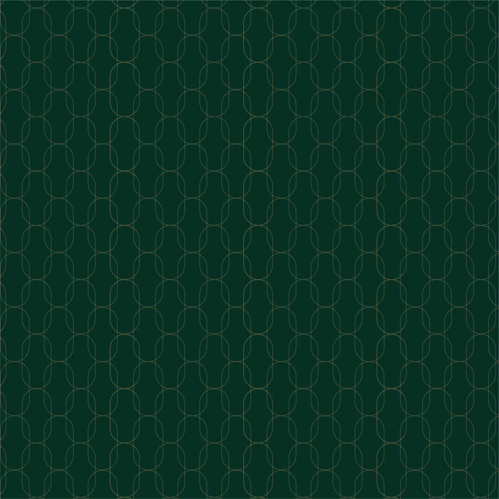 chain pattern@2x