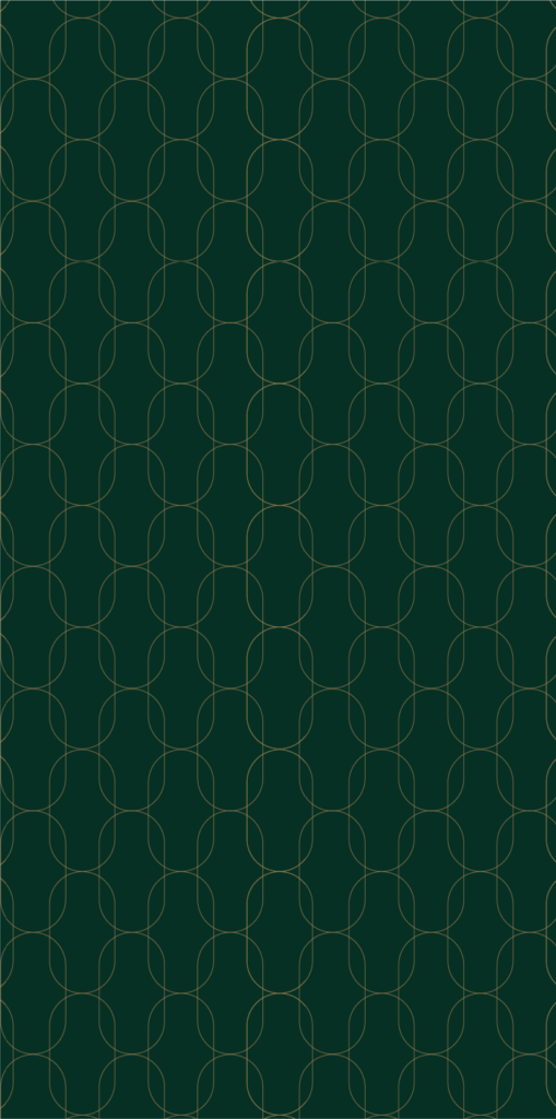chain pattern@2x e1776362621158