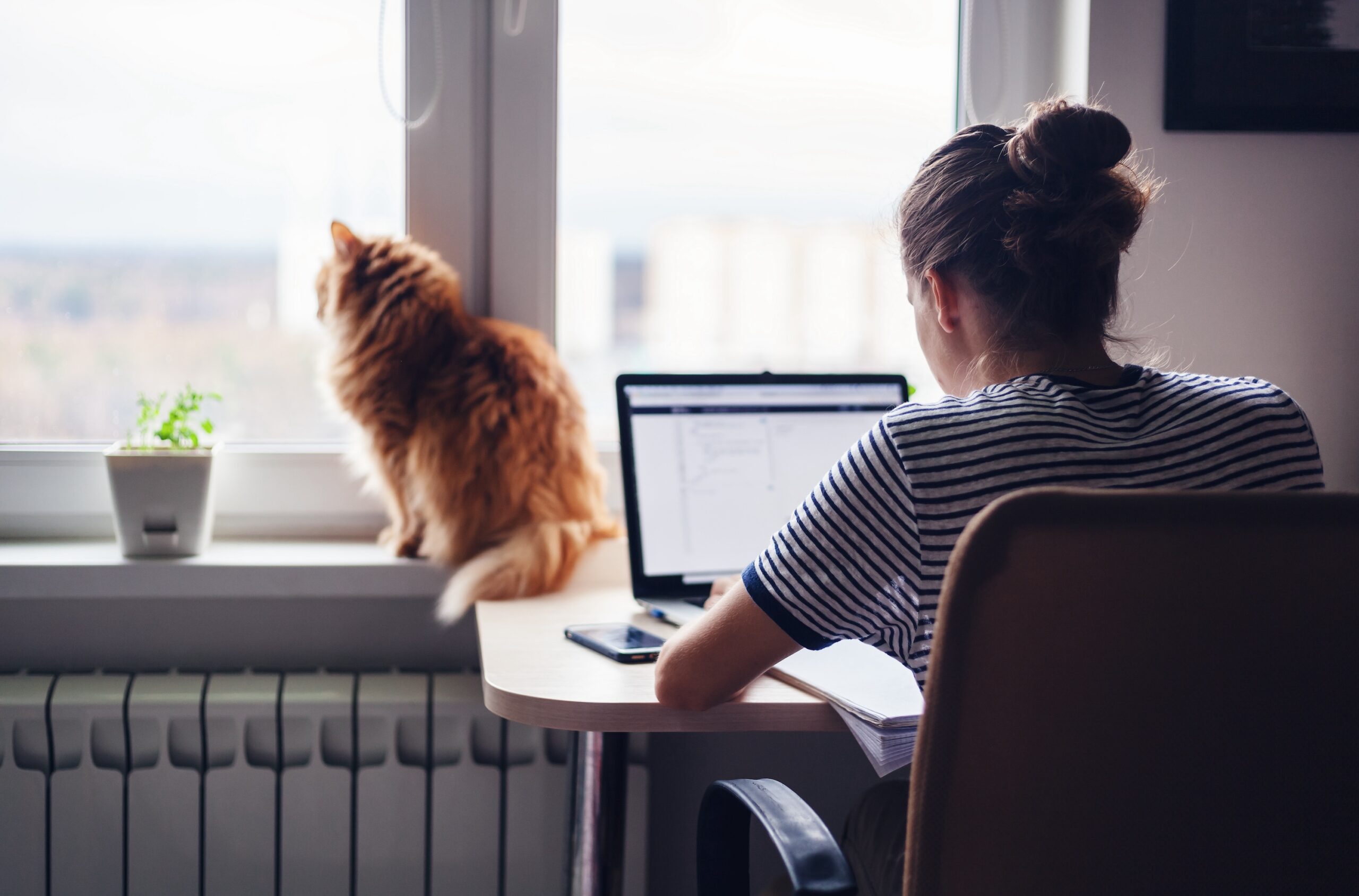 what-to-do-with-an-extra-room